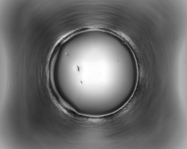 X0000086780840200704271808