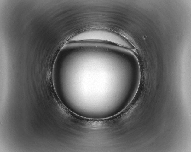 X0000086780841200704271808