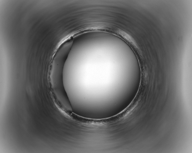 X0000086780842200704271808