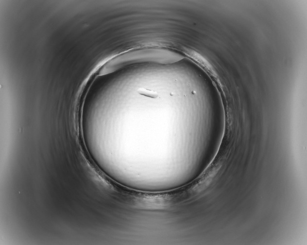 X0000086780843200704271808