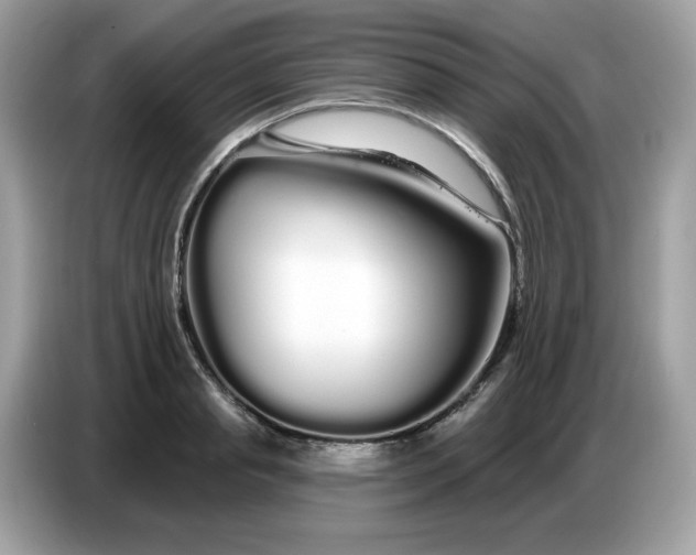 X0000086780845200704271808