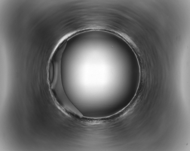 X0000086780846200704271808