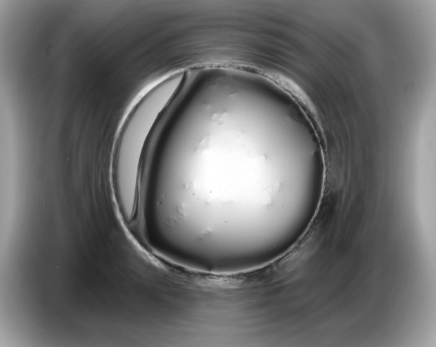 X0000086780847200704271808