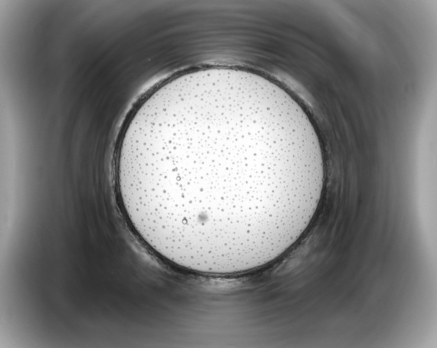 X0000086780848200704271808