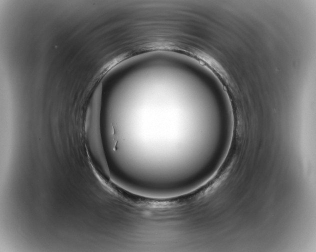 X0000086780849200704271808