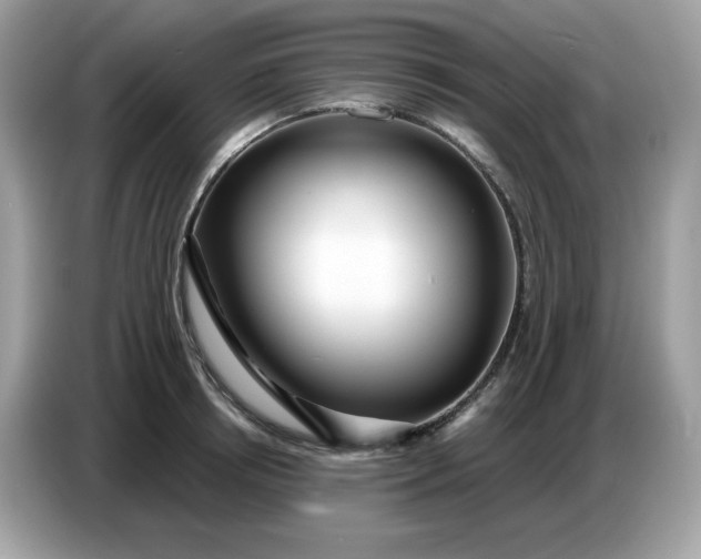 X0000086780850200704271808