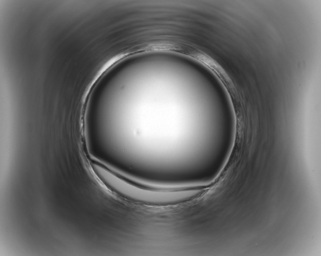 X0000086780852200704271808