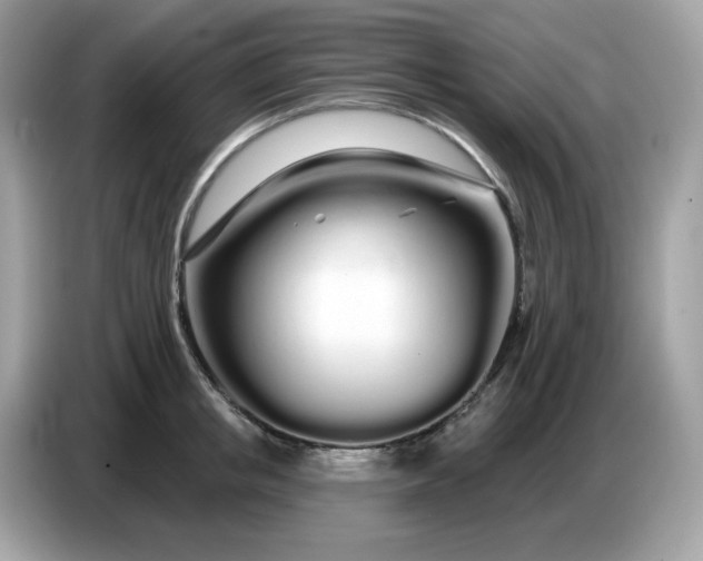 X0000086780853200704271808