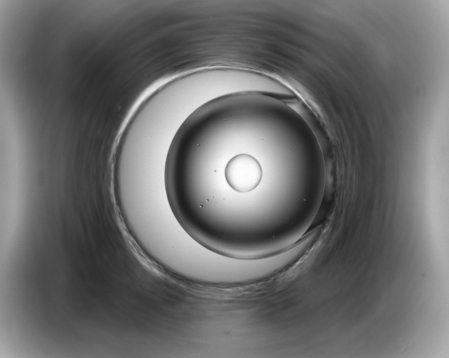 X0000086780854200704271808