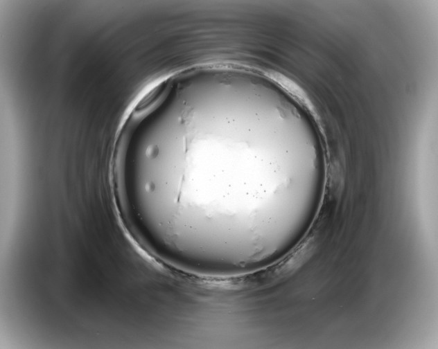 X0000086780855200704271808