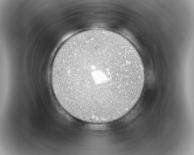 X0000086780856200704271808