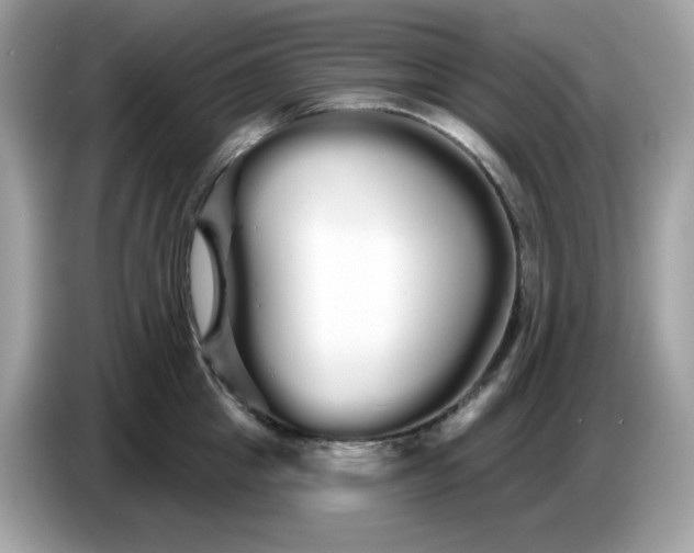 X0000086780857200704271808