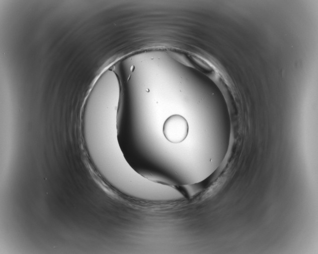 X0000086780858200704271808