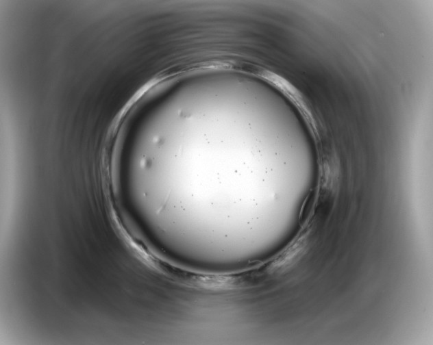 X0000086780859200704271808