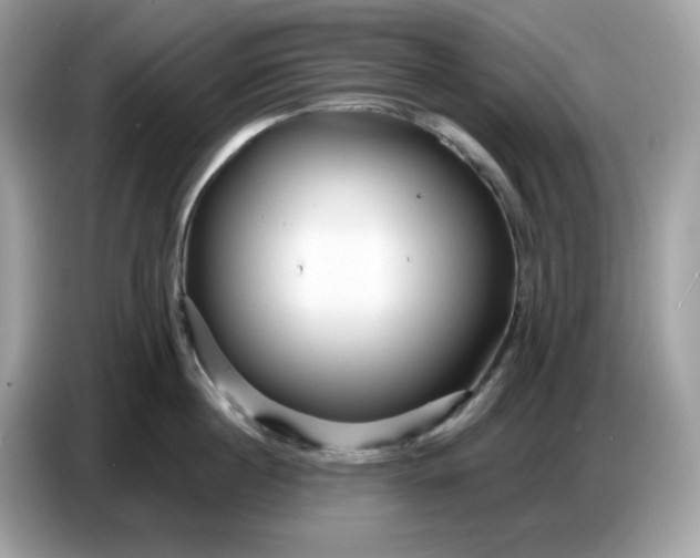 X0000086780860200704271808