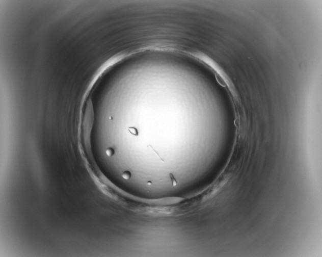 X0000086780861200704271808