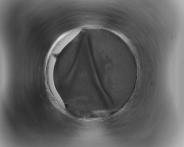 X0000086780864200704271809