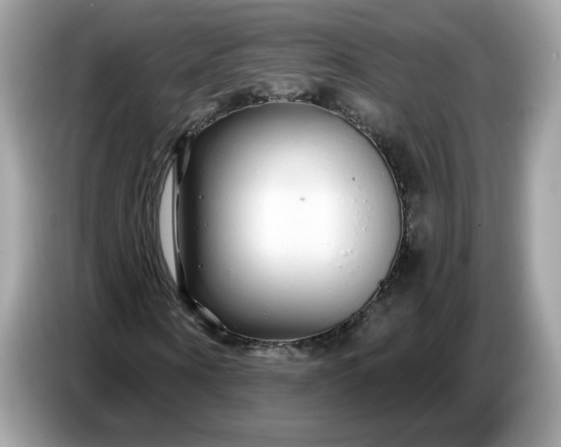 X0000086780866200704271808