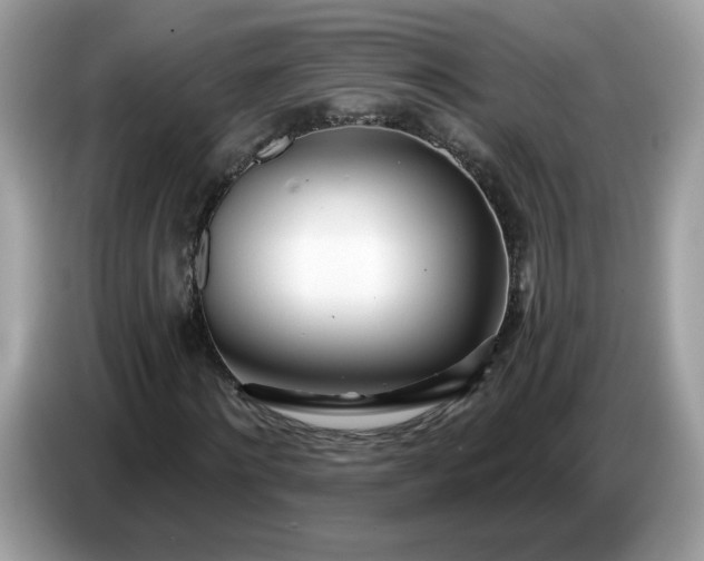 X0000086780868200704271808