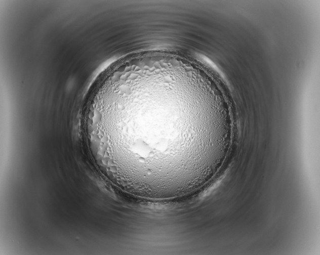 X0000086780875200704271808