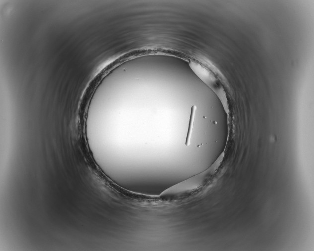 X0000086780876200704271808