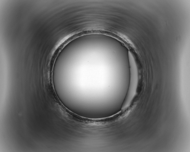 X0000086780877200704271808