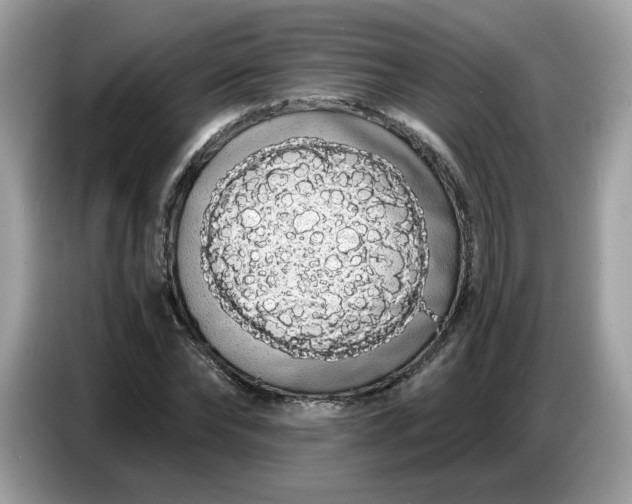 X0000086780878200704271808