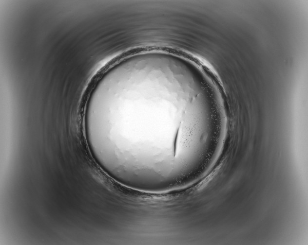 X0000086780879200704271808