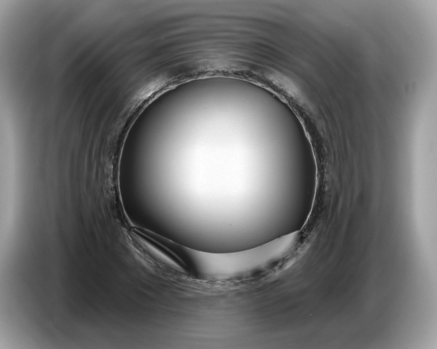 X0000086780881200704271808