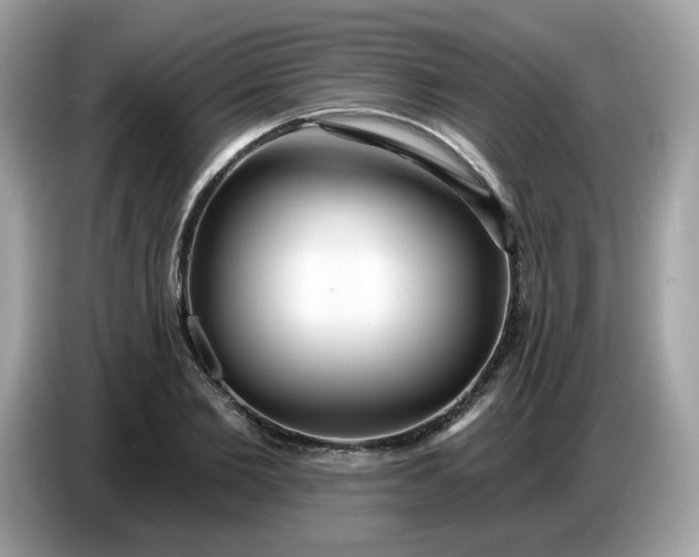 X0000086780885200704271808