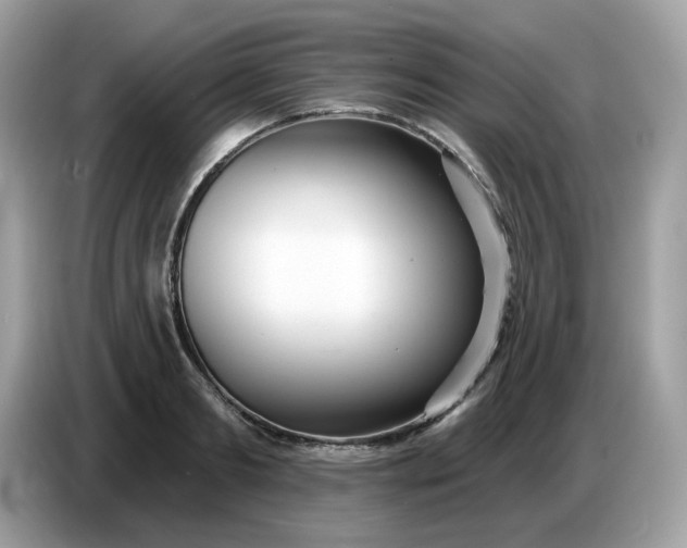 X0000086780893200704271808