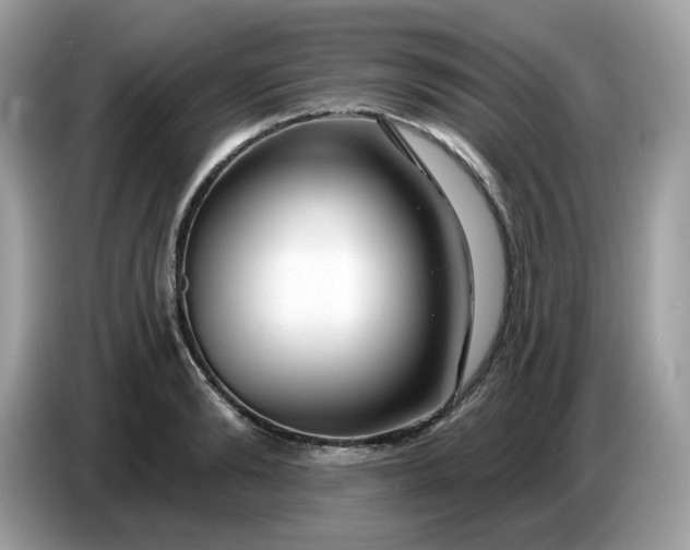 X0000086780894200704271808