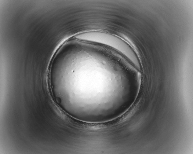 X0000086780899200704271807