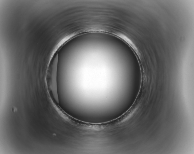 X0000086780901200704271807