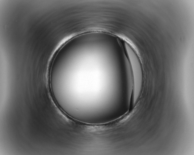 X0000086780902200704271807