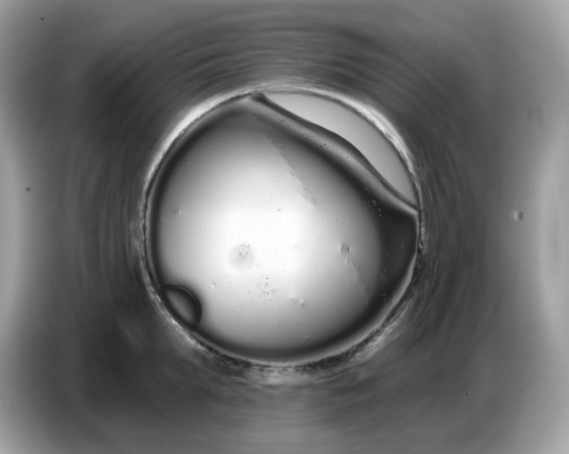 X0000086780903200704271807