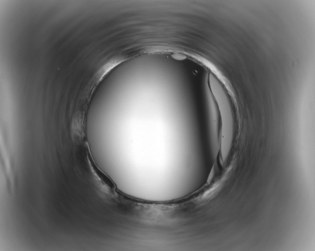 X0000086780905200704271807