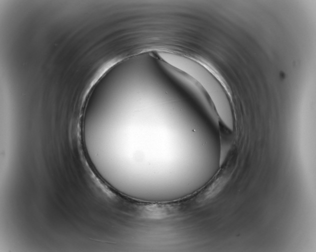 X0000086780906200704271807