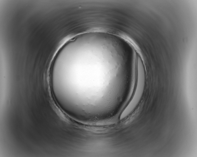 X0000086780907200704271807