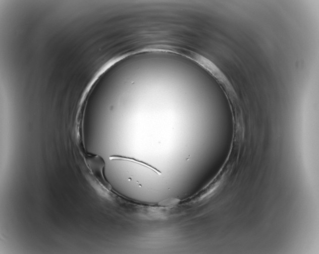 X0000086780908200704271807