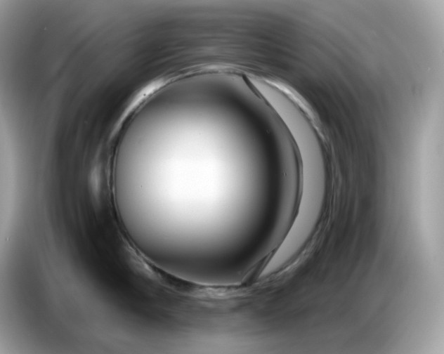 X0000086780910200704271807