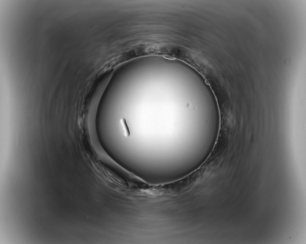 X0000086780914200704271807