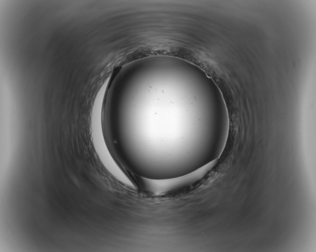 X0000086780916200704271807