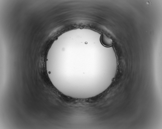 X0000086780918200704271807