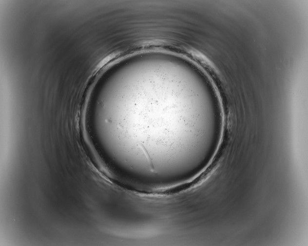 X0000086780921200704271807