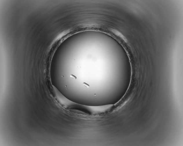 X0000086780922200704271807