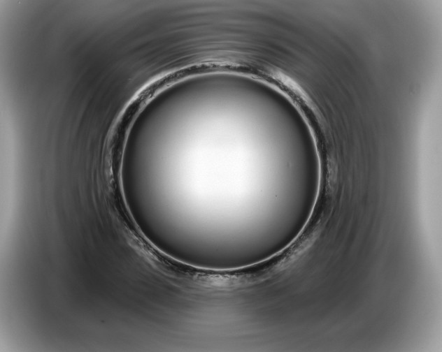 X0000086780923200704271807