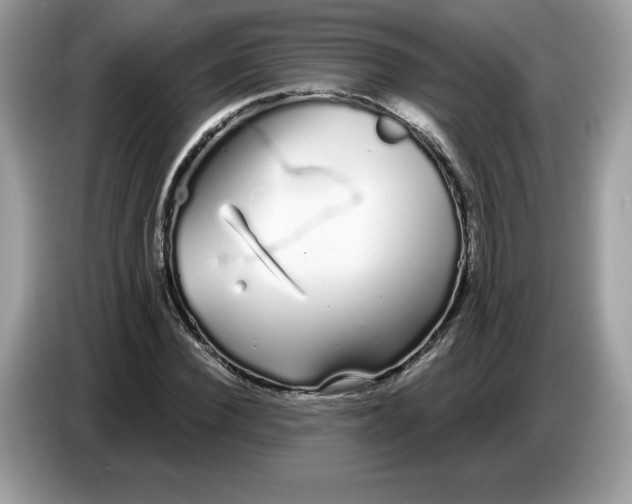 X0000086780924200704271807