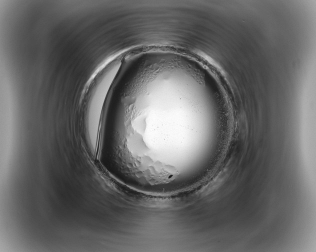 X0000086780925200704271807