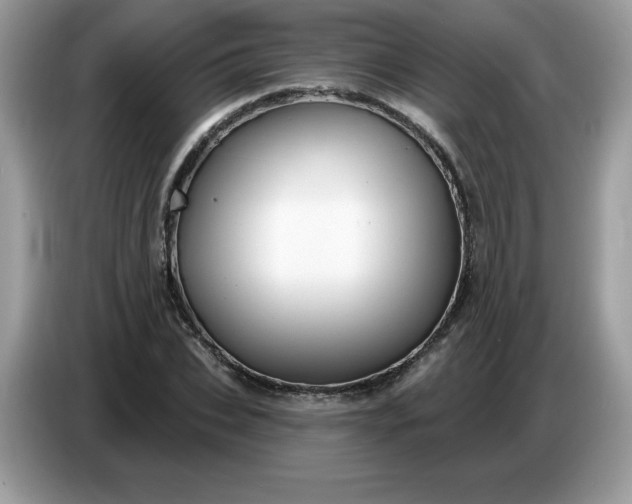 X0000086780927200704271807